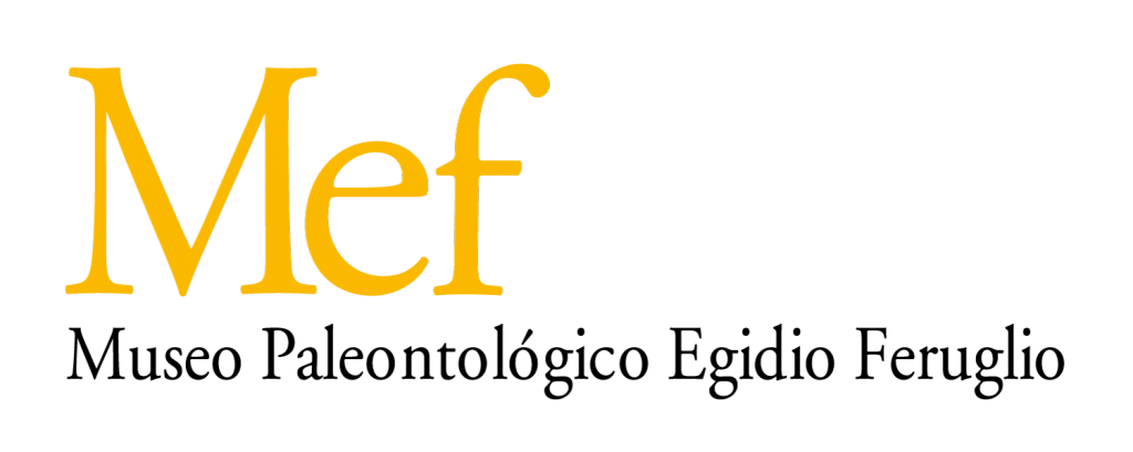 Museo Paleontológico Egidio Feruglio